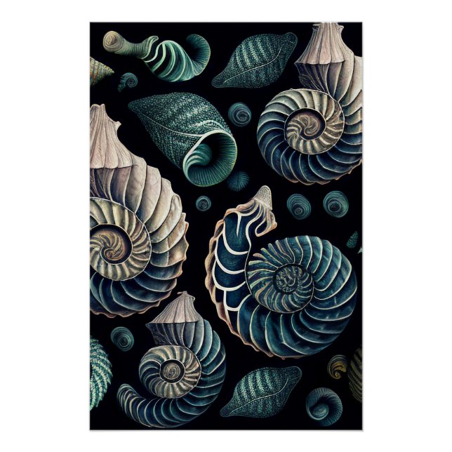 Marine Treasures Poster (Front)