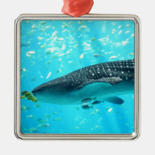 Marine Water Chic Stylish Cool Blue Whale Shark Metal Tree Decoration