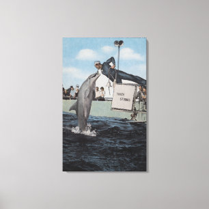 Marineland, Florida - Sailor Mouthfeeding Canvas Print