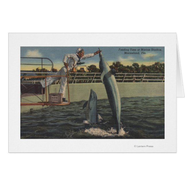 Marineland, Florida - View of Feeding Porpoises (Front Horizontal)