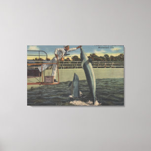 Marineland, Florida - View of Feeding Porpoises Canvas Print