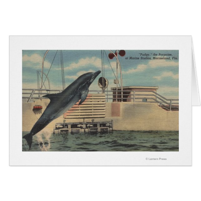 Marineland, Florida - View of Pudgy the (Front Horizontal)