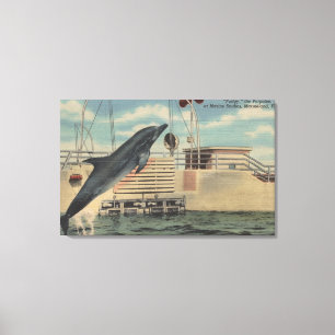 Marineland, Florida - View of Pudgy the Canvas Print