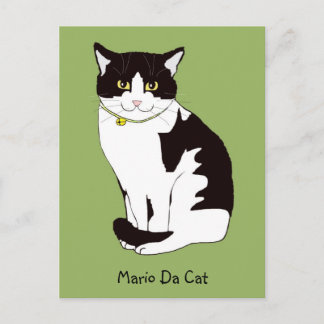 Mario Da Cat Postcard