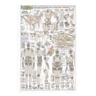 Marionette Building Plans