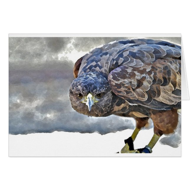 Mariposa (Front Horizontal)