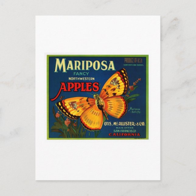 Mariposa apples postcard (Front)