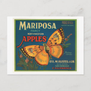 Mariposa Brand Apples Vintage Crate Label - Butter Postcard