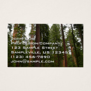 Mariposa Grove in Yosemite National Park