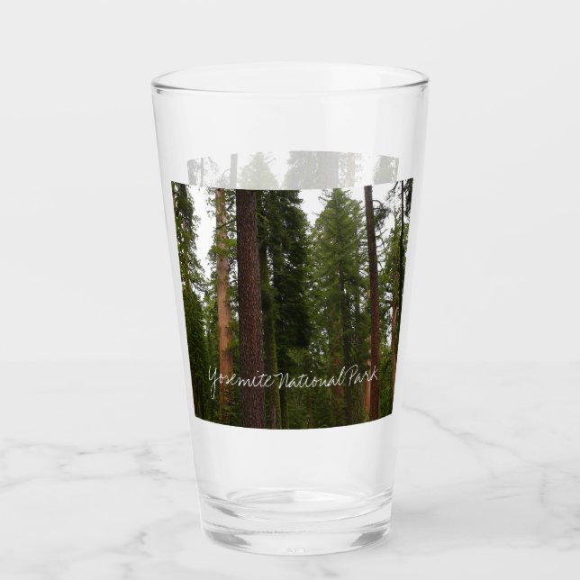 Mariposa Grove in Yosemite National Park Glass (Front)