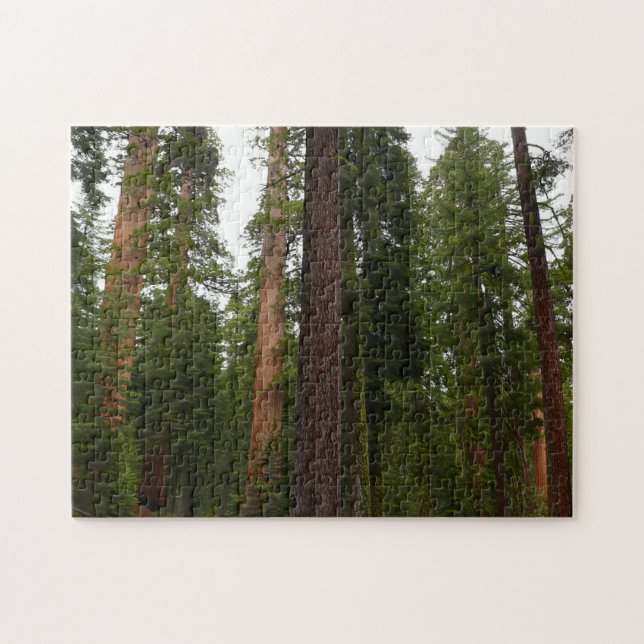 Mariposa Grove in Yosemite National Park Jigsaw Puzzle (Horizontal)