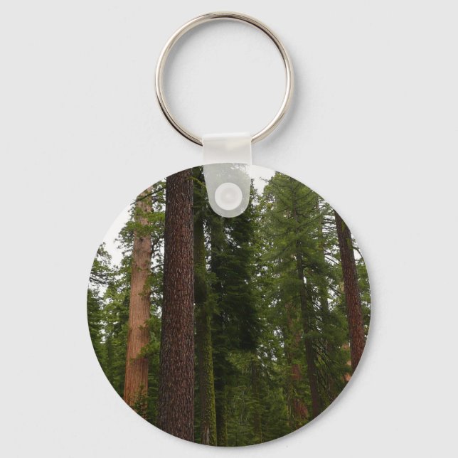 Mariposa Grove in Yosemite National Park Key Ring (Front)