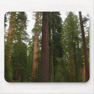 Mariposa Grove in Yosemite National Park Mouse Mat