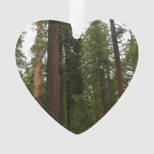 Mariposa Grove in Yosemite National Park Ornament