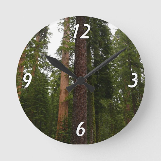 Mariposa Grove in Yosemite National Park Round Clock (Front)