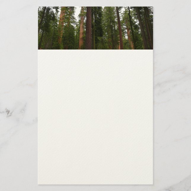 Mariposa Grove in Yosemite National Park Stationery (Front)