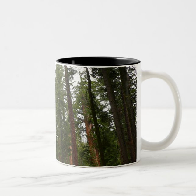 Mariposa Grove in Yosemite National Park Two-Tone Coffee Mug (Right)