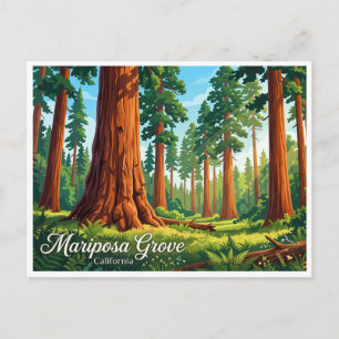 Mariposa Grove Wawona California Postcard