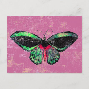 Mariposa ~ Postcard / Invitation
