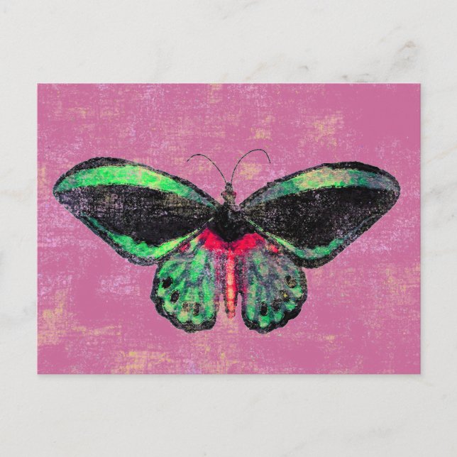 Mariposa ~ Postcard / Invitation (Front)