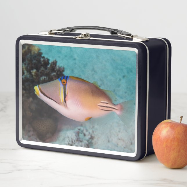 Maritime Picasso Triggerfish Swims Near Coral Reef Metal Lunch Box (In Situ)