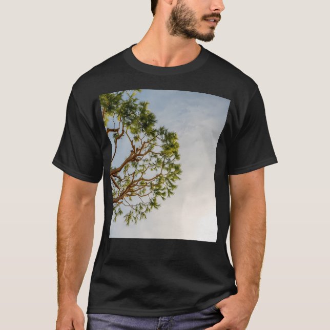 Maritime Pine In French Riviera In A Sunny Winter  T-Shirt (Front)
