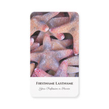 Maritime sea star starfish travel agent experts