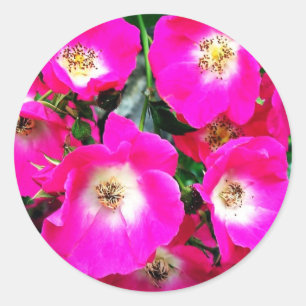Marjorie Fair Classic Round Sticker