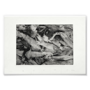 Market Glisten Photo Print