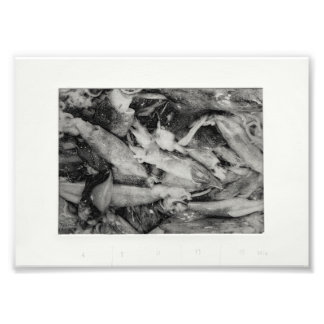 Market Glisten Photo Print