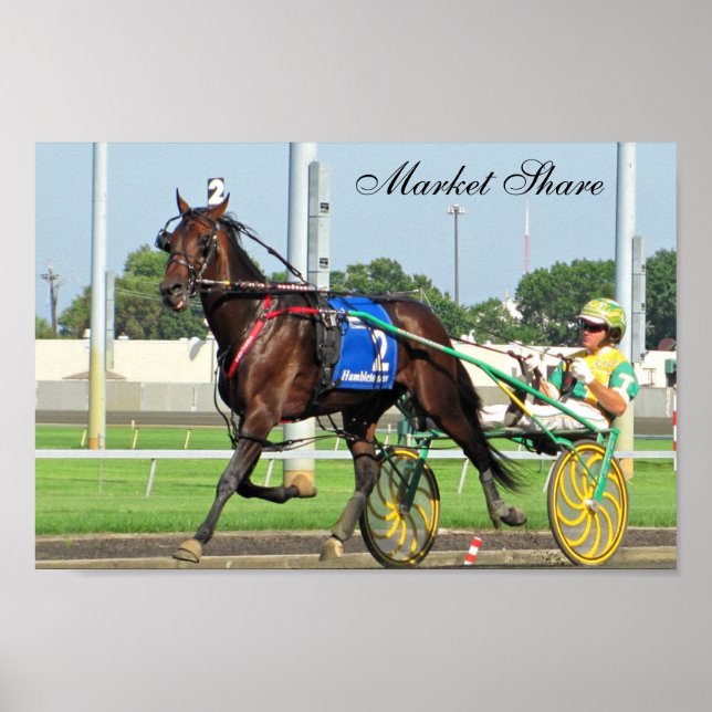 Market Share Poster (Front)