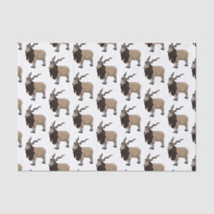 Markhor goat cartoon illustration tissue paper