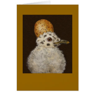 Marley the baby seagull card