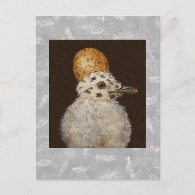 Marley the baby seagull postcard (Front)