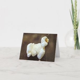 Marley The Popcorn 🍿 Sheep 🐑  Thank You Card