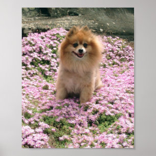 Marley with Pink Flowers Poster