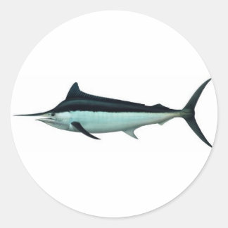 Marlin Classic Round Sticker