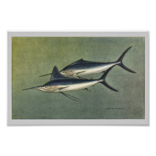 Marlin or Spearfish Vintage Fish Print