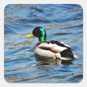 Marllad Square Sticker