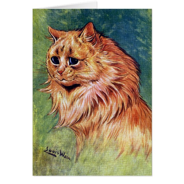 Marmalade Cat with Blue Eyes (Front)