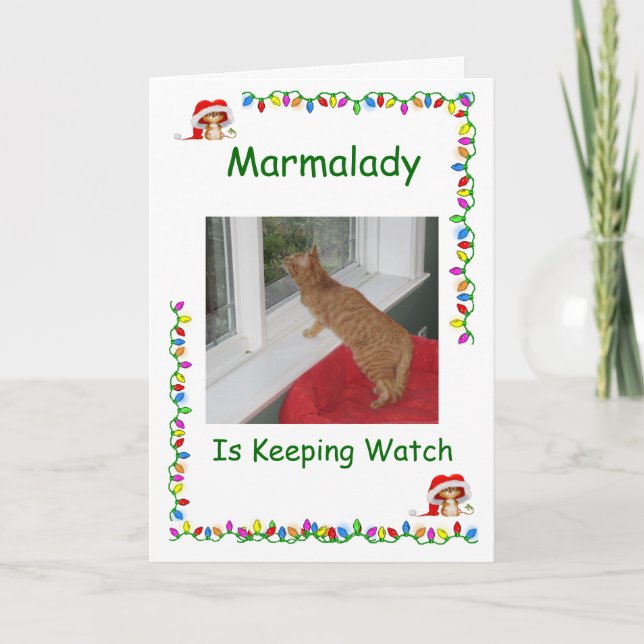 Marmalady Cat Rescue Christmas cards (Front)