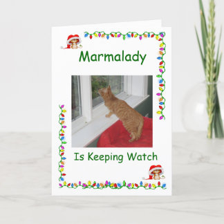 Marmalady Cat Rescue Christmas cards