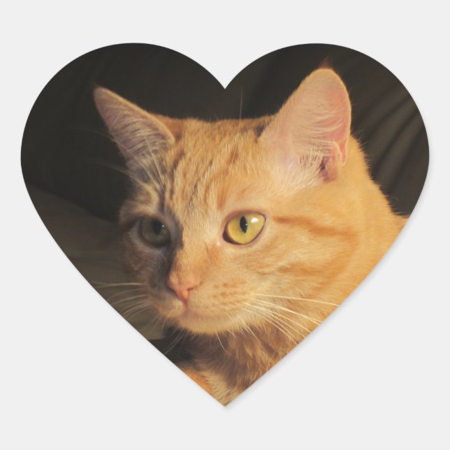 Marmalady Heart Stickers (Front)