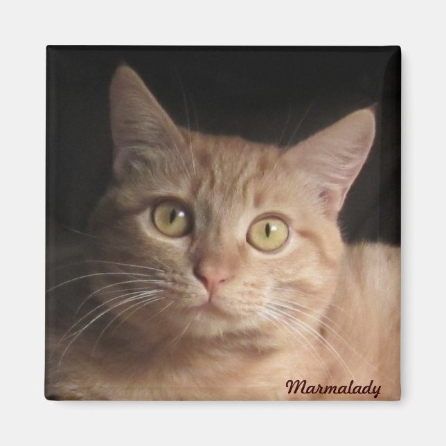 Marmalady Magnet (Front)