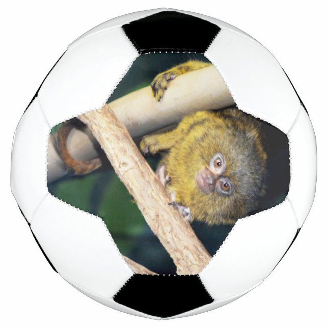 Marmoset Monkey Hi There, Soccer Ball (Front)