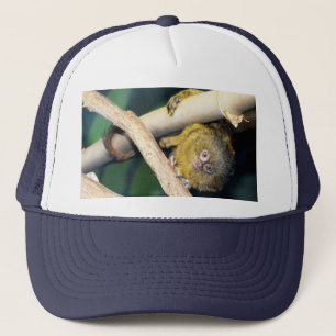 Marmoset Monkey Hi There, Truckers Hat