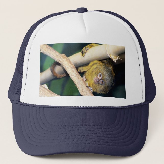 Marmoset Monkey Hi There, Truckers Hat (Front)