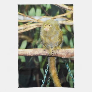 Marmoset Monkey Sitting On A Branch, Tea Towel