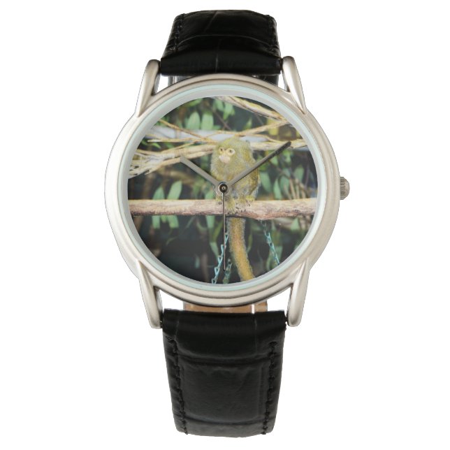 Marmoset Monkey Sitting On A Branch, Watch (Front)