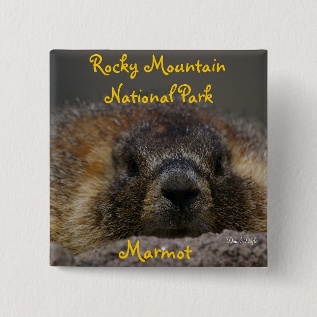 Marmot at Rocky Mountian National Park 15 Cm Square Badge (Front)